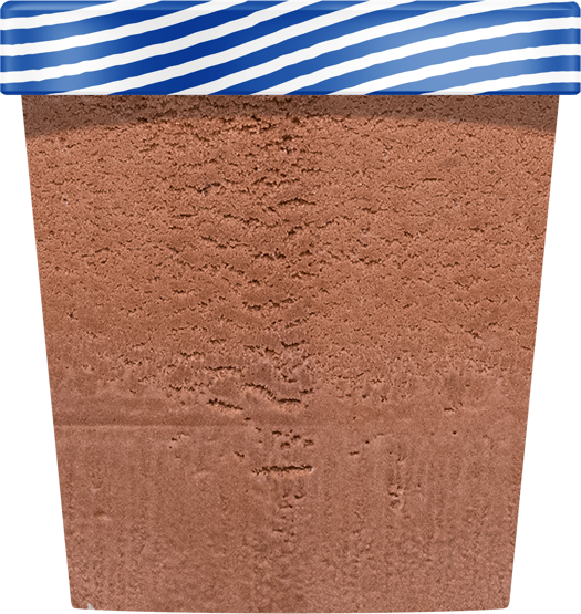 NadaMoo! Organic Chocolate DairyFree Ice Cream