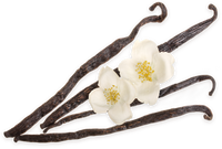 Organic<br> Vanilla Beans