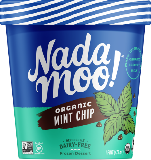 NadaMoo! Organic Mint Chip Diary-Free Ice Cream